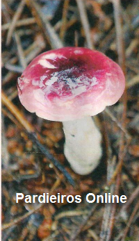 [06-12-2009+12-24-16.png]