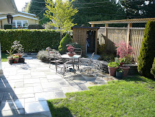 Back garden