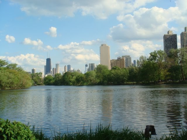 The Chicago Real Estate Local: Double take! Lincoln Park 2010 first ...