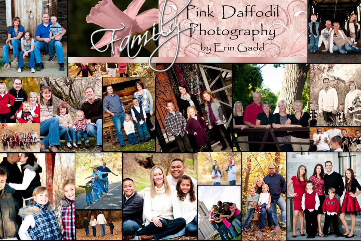 Pink Daffodil Photography Families