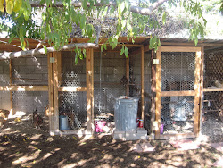 chicken coop permaculture phoenix garden pen tour sweetlifegarden coops chickens types edible fall birdhouse chook hobby farms