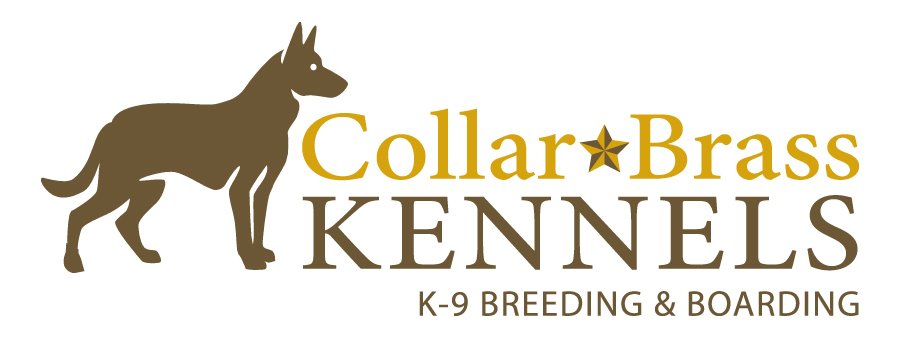 Collar Brass Kennels