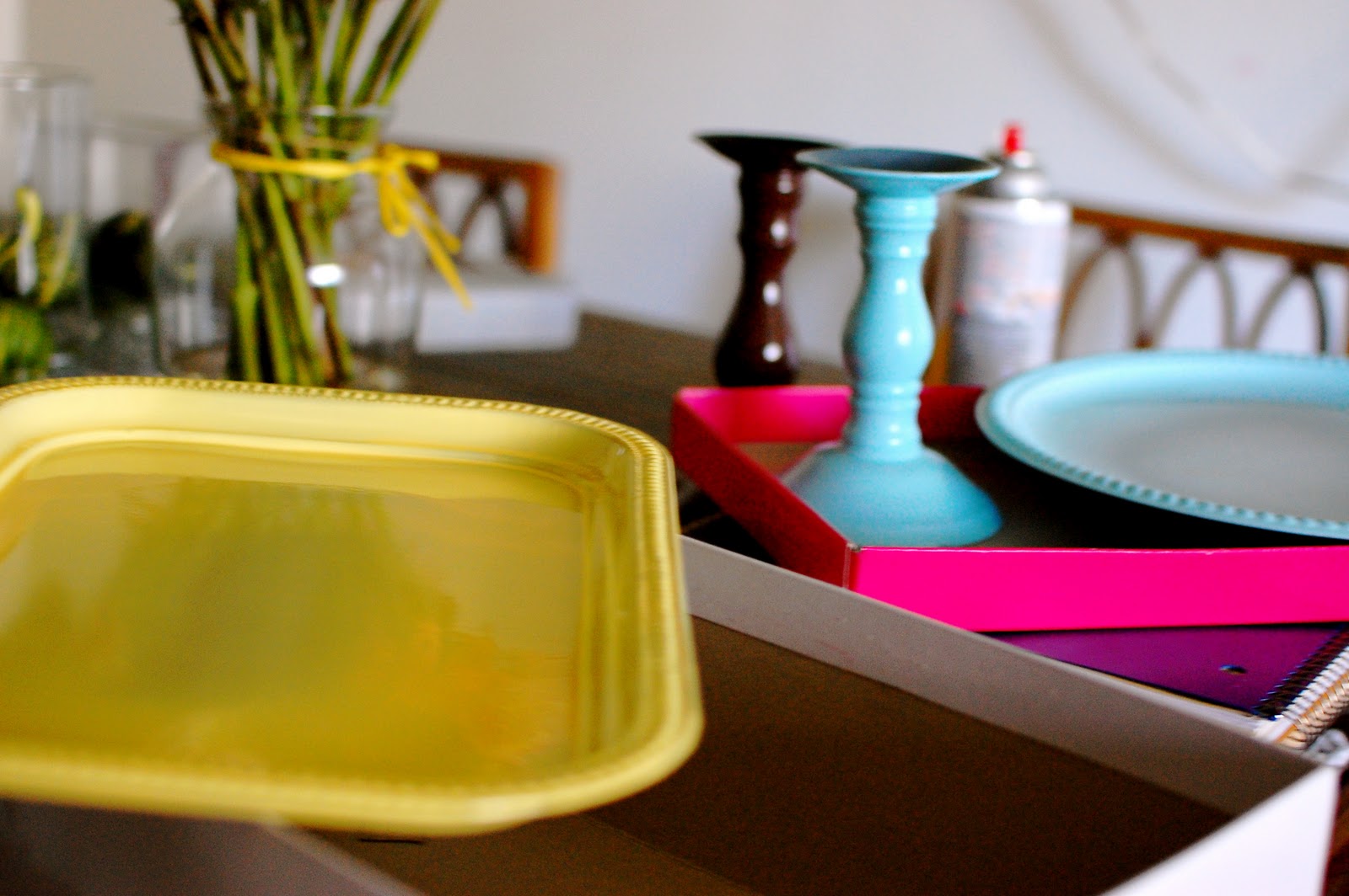 AlbiniPhotography DIY Dollar Store Trays