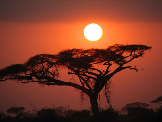 [africa-pictures03.jpg]