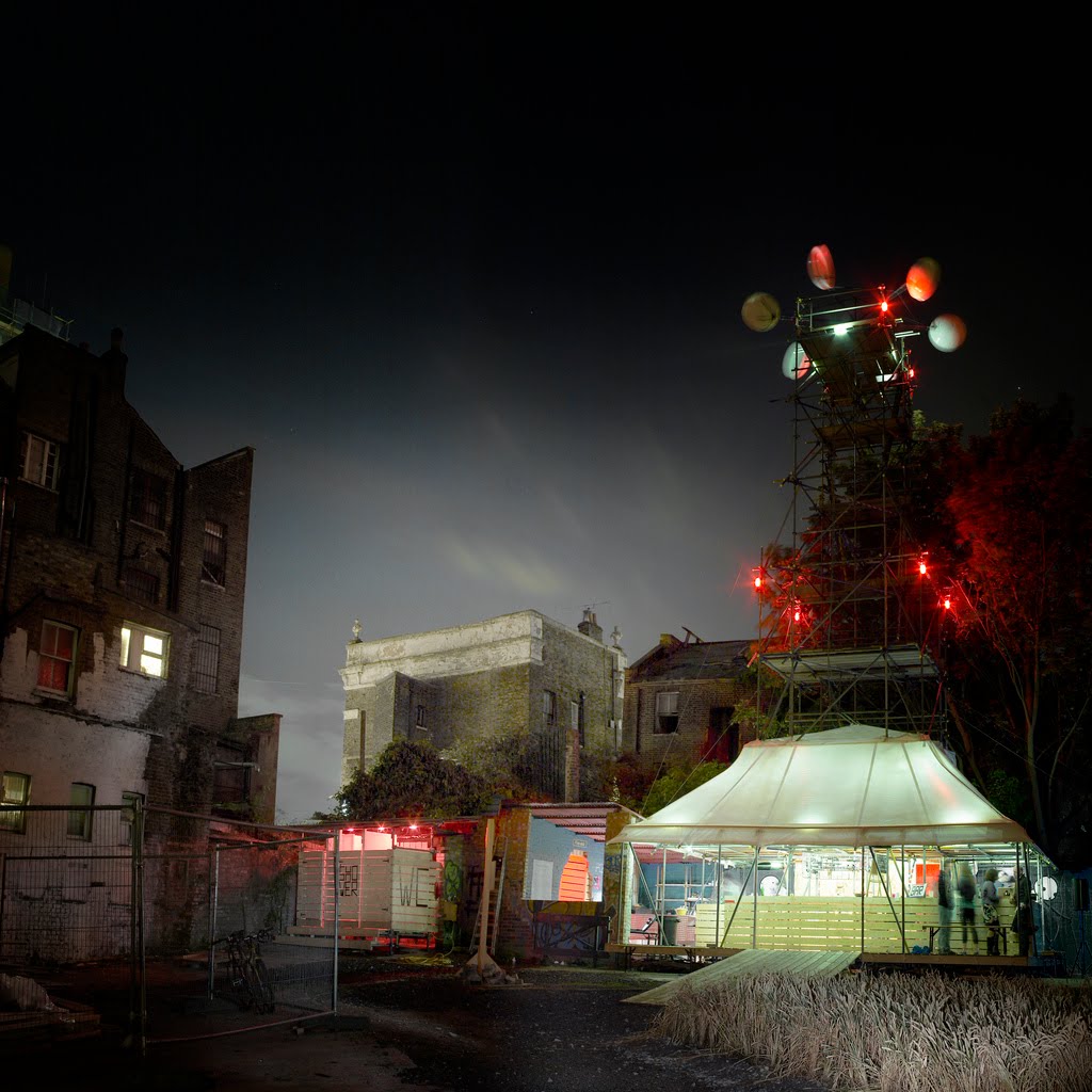 OPEN Dalston Dalston Flower Show it's blooming marvellous!