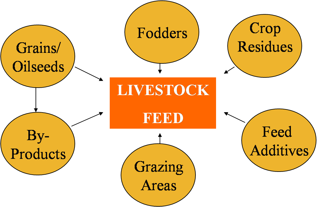 Protect Health.......Protect Life Feed Resources for Livestock and Poultry