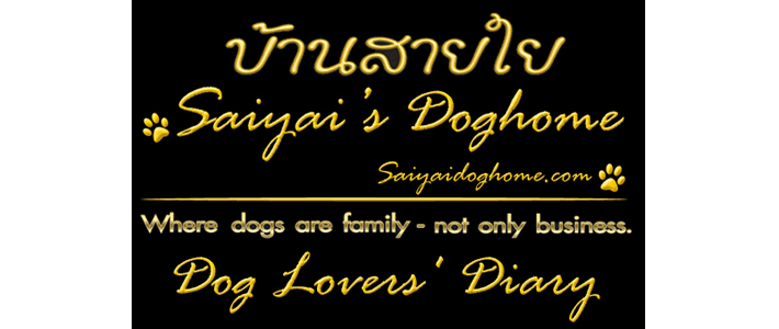 Saiyai Doghome, Thailand www.saiyaidoghome.com
