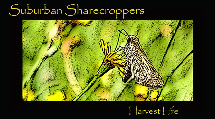 Suburban Sharecroppers