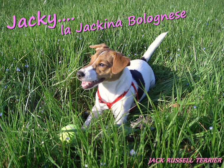 Jacky.... la Jackina Bolognese