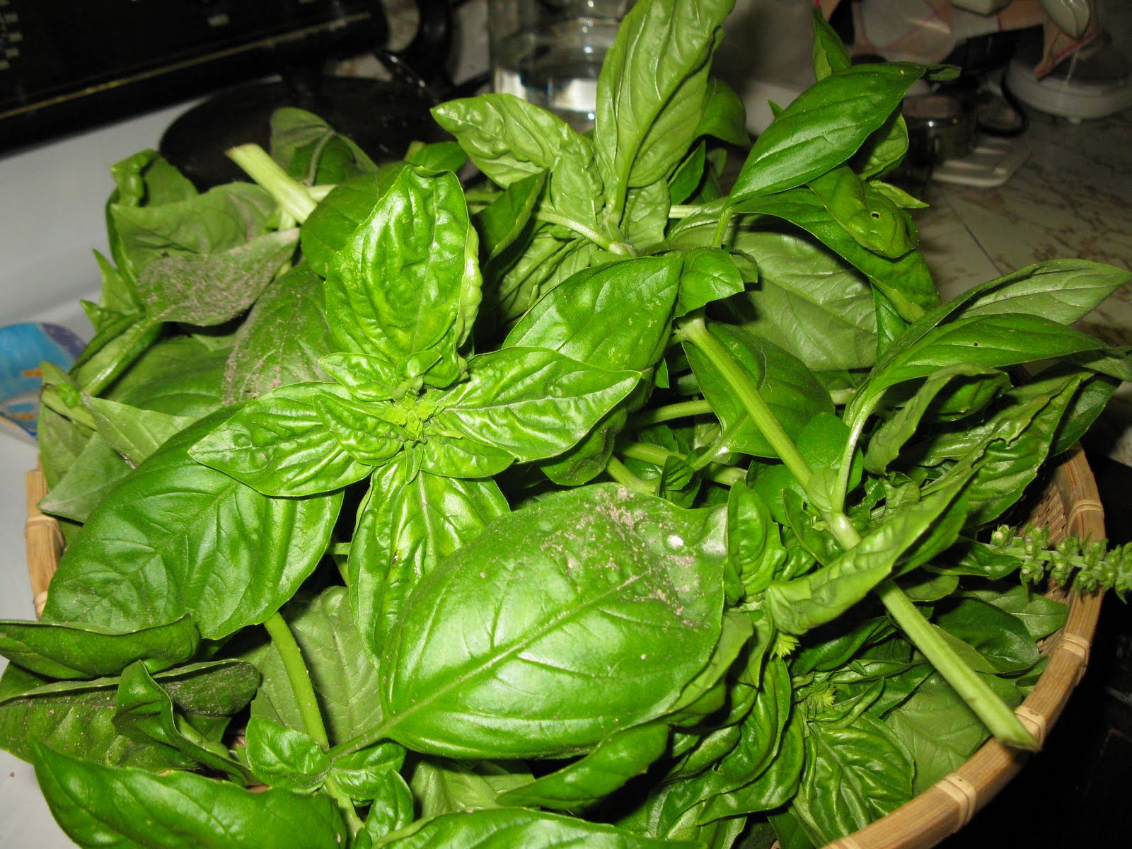 Simply Homemaking How to Preserve fresh Genovese Basil