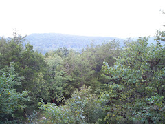Beautiful view from Dennis and Phyllis's porch