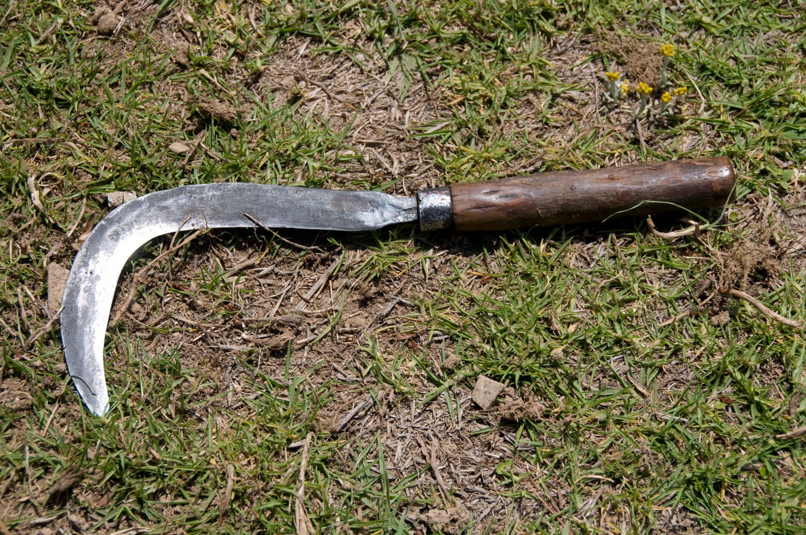 Volunteer Trip to Nangi, Nepal