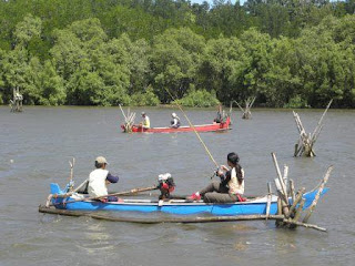 blok bedul wisata mangrove banyuwangi