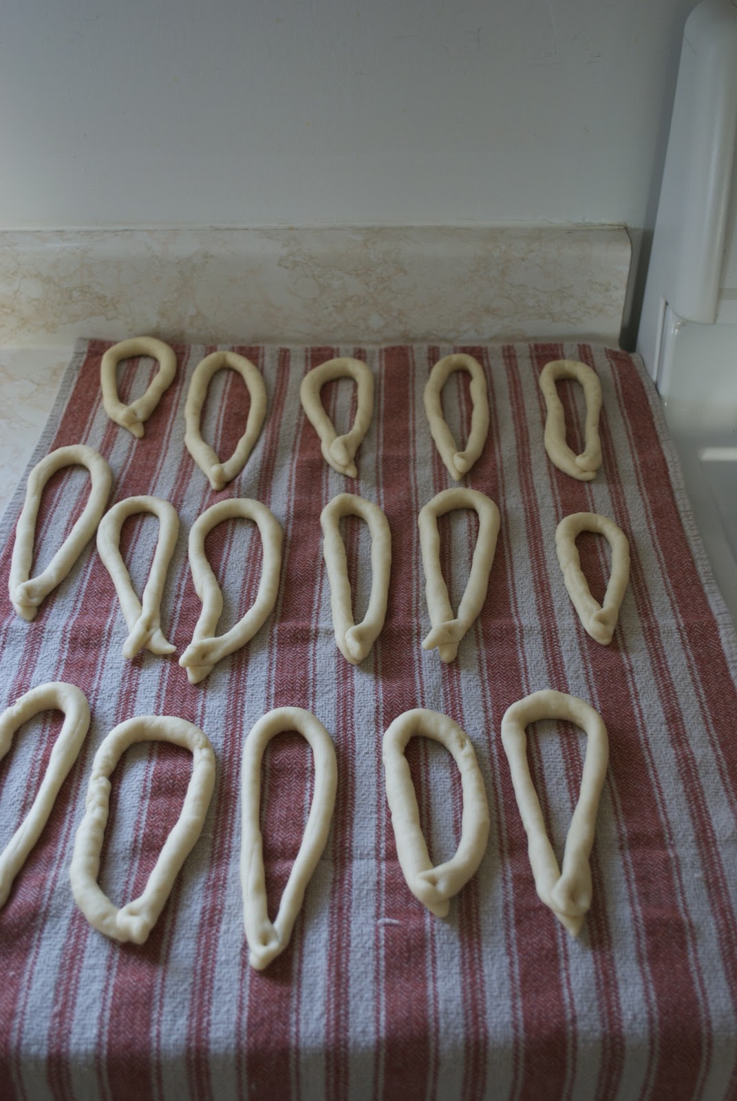The Country Tenant Nana's Biscotti Recipe Best Christmas Gift Ever