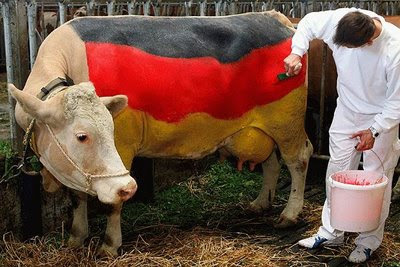 funny german cow photo