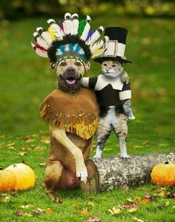 [dog-cat-indian-american-funny-pic.jpg]