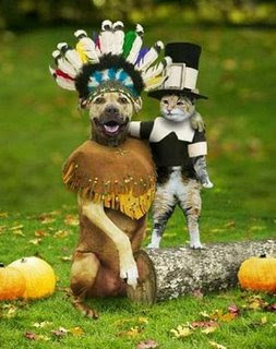 funny dog and cat photos dressed up as indian and pilgrim friends at last