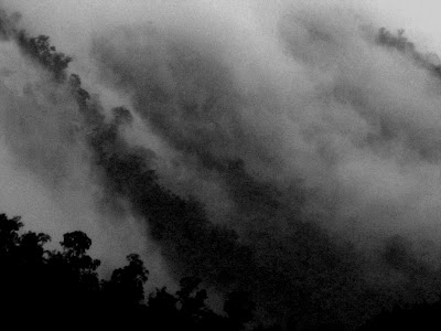 ミクロ経済学 ゲーム理論では、行動するときに他人の行動を考慮する必要があります。