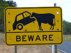 Don't eat a car man!!