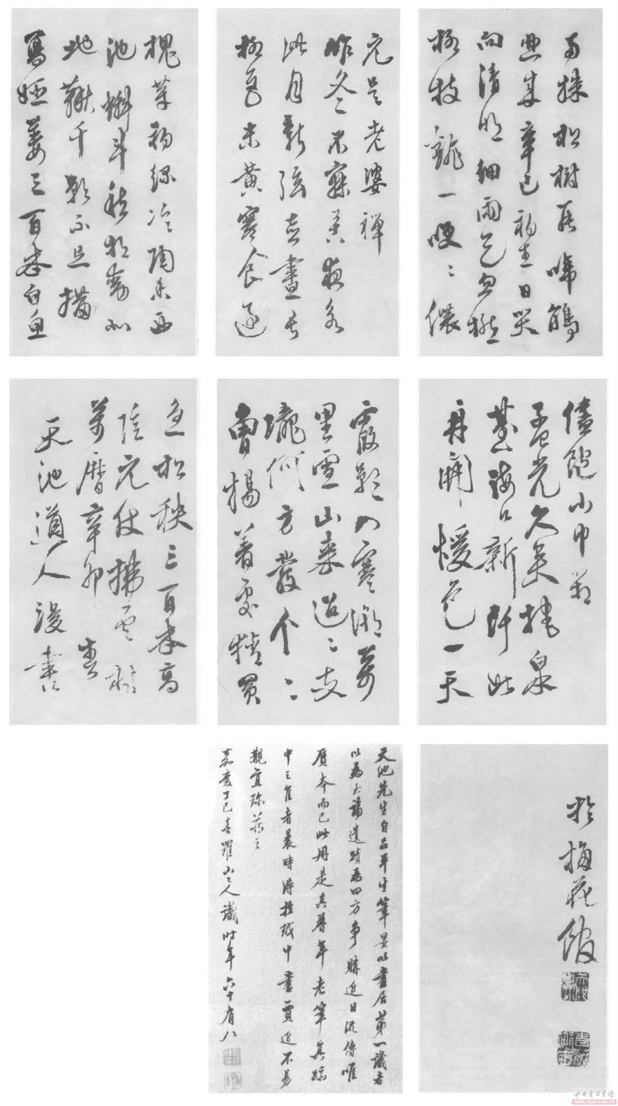 希少☆明徐渭草書巻 上海博物館印製