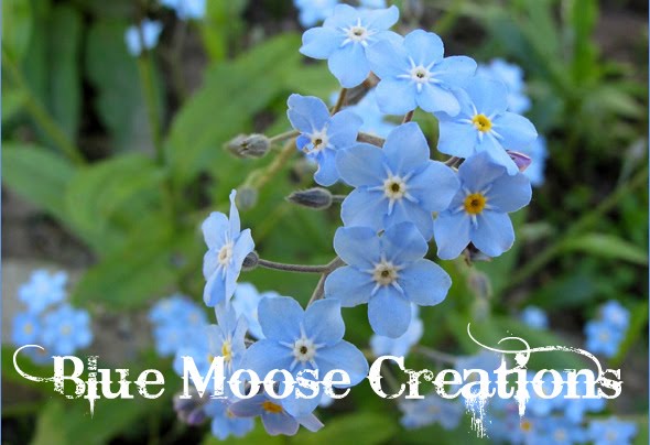 Blue Moose Creations