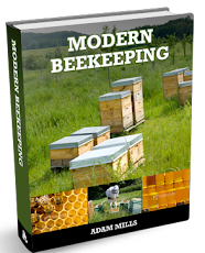 Modern Beekeeping