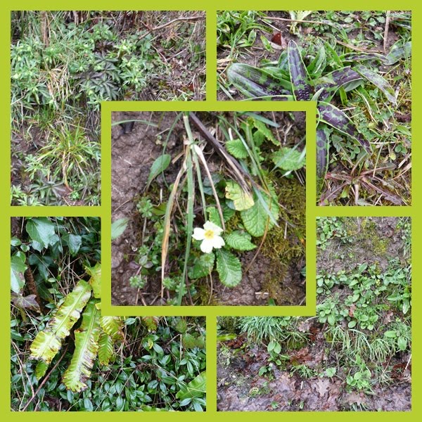 [bank+flowers+MM.jpg]