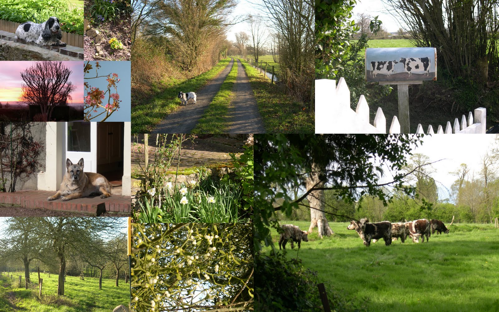 [Recently+Updated.jpg]