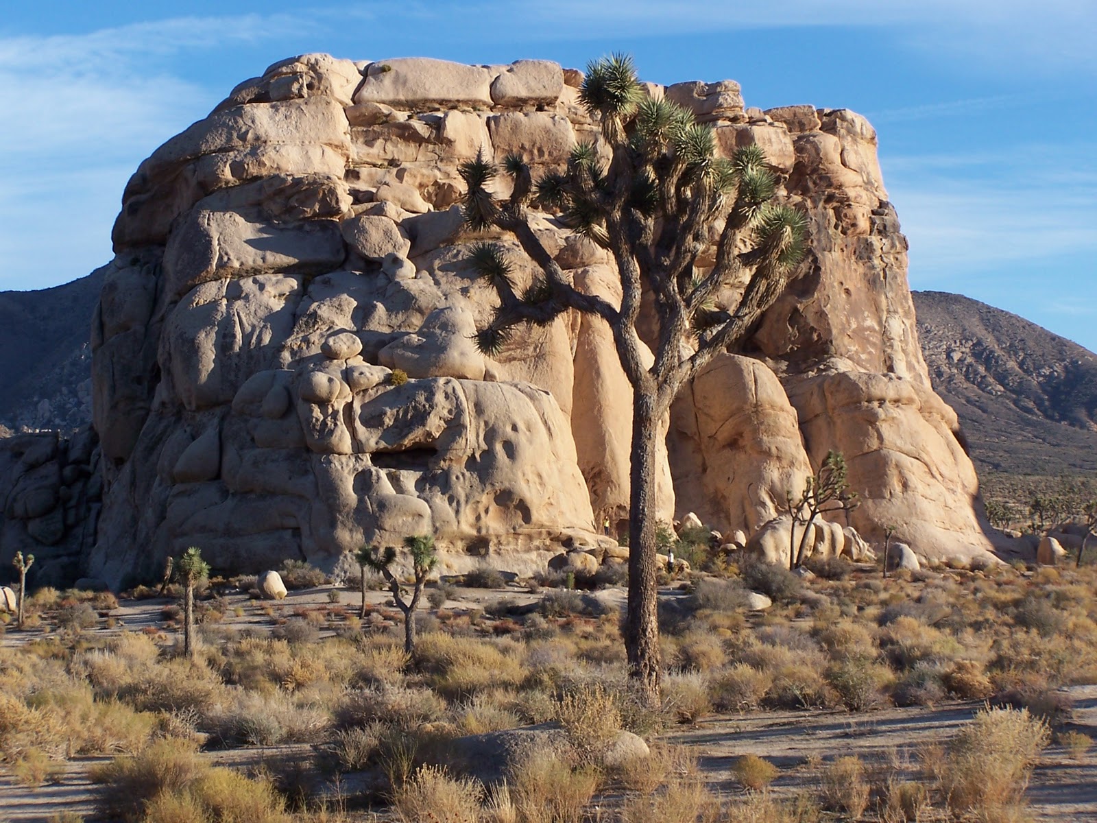 Rover Divas: Rock Climbing, at Joshua Tree National Park, CA