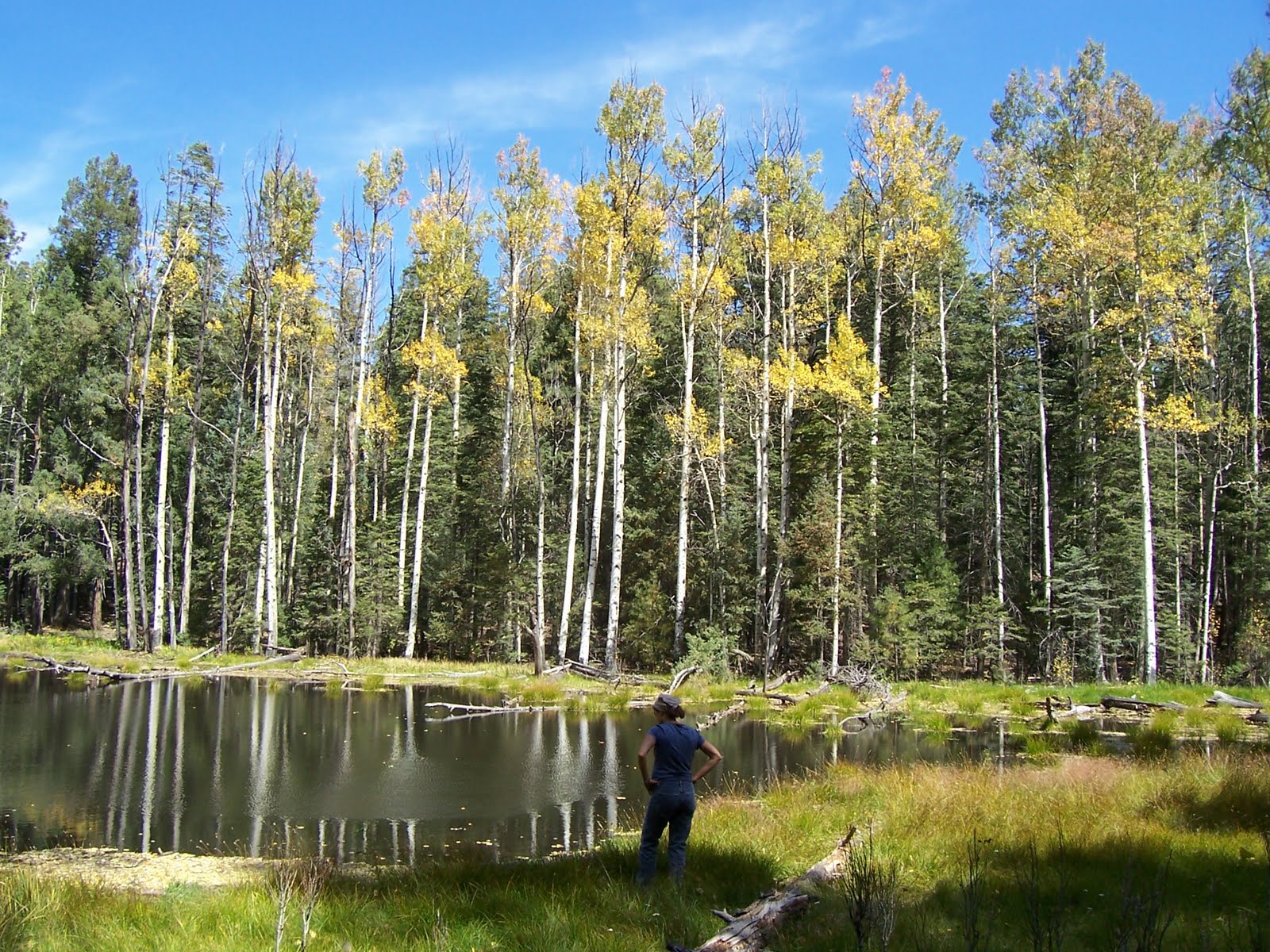 Southern New Mexico Explorer Hillsboro LakeAldo Leopold Wilderness