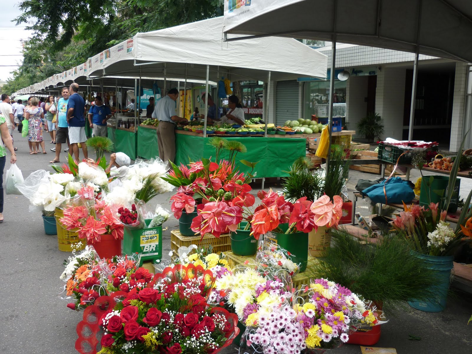 Sábado vamos à feira de Jardim da Penha comprar flores. Arrumada