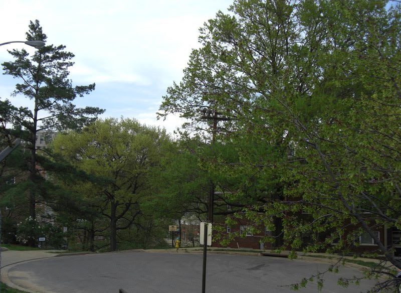 Rosslyn Heights Apartments Arlington Va Rosslyn Heights Apartments Arlington Va