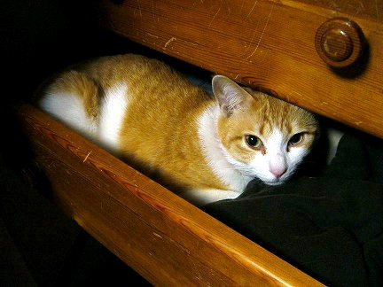 ȋȑqwy1rځzYouTube>8{ jRjR>1{ ->摜>1781 