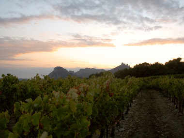 Entre Orange et le Mont Ventoux, les vignes et les Dentelles de Montmirail