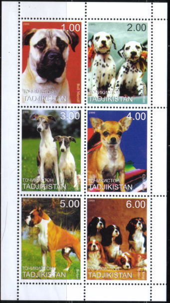 1999年タジキスタン共和国 マスティフ　ダルメシアン ウィペット　チワワ ボクサー　キャバリア・キング・チャールズ・スパニエルの切手シート