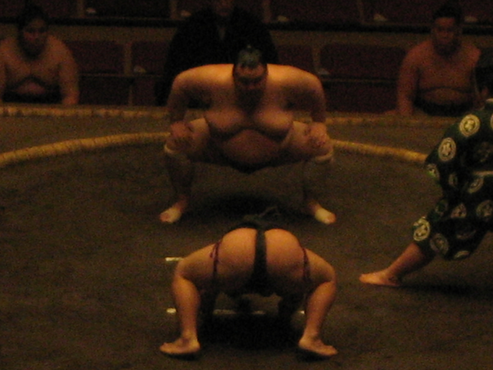 Two Texan Beasts: Big Sumo and the Beasts First Japanese Photo Booth