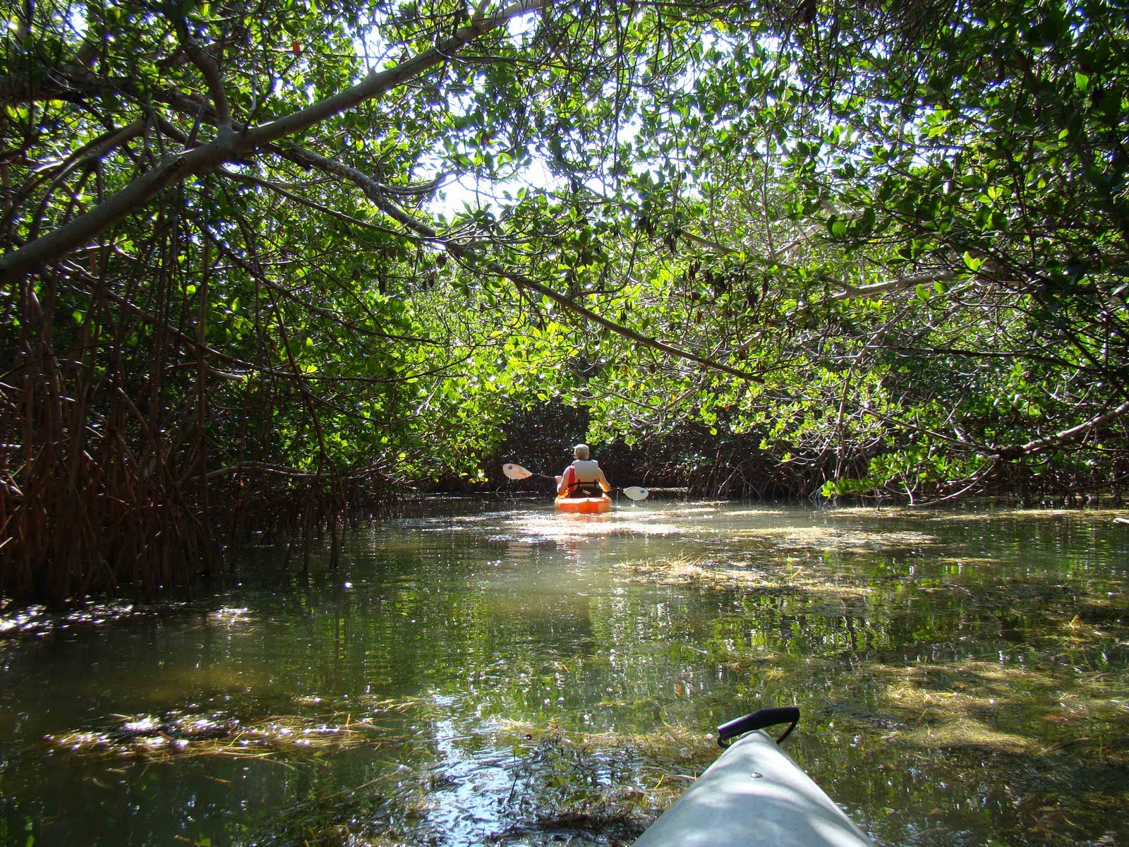 travels of the Leedys Curry Hammock State Park Marathon, FL Keys