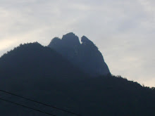 cerro de la mitra(totontepec mixe)