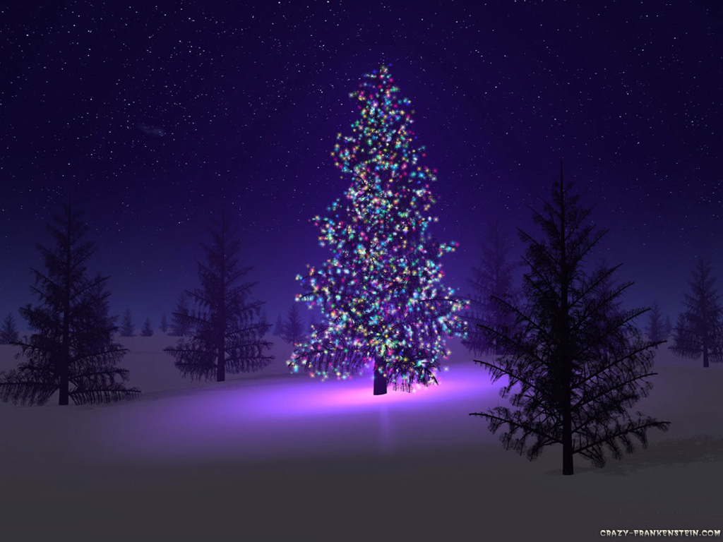 http://3.bp.blogspot.com/_y8ag4VGcCHo/TRBtlKQ4yZI/AAAAAAAAKRc/6xi8hc7ktII/s1600/beautiful-christmas-tree.jpg