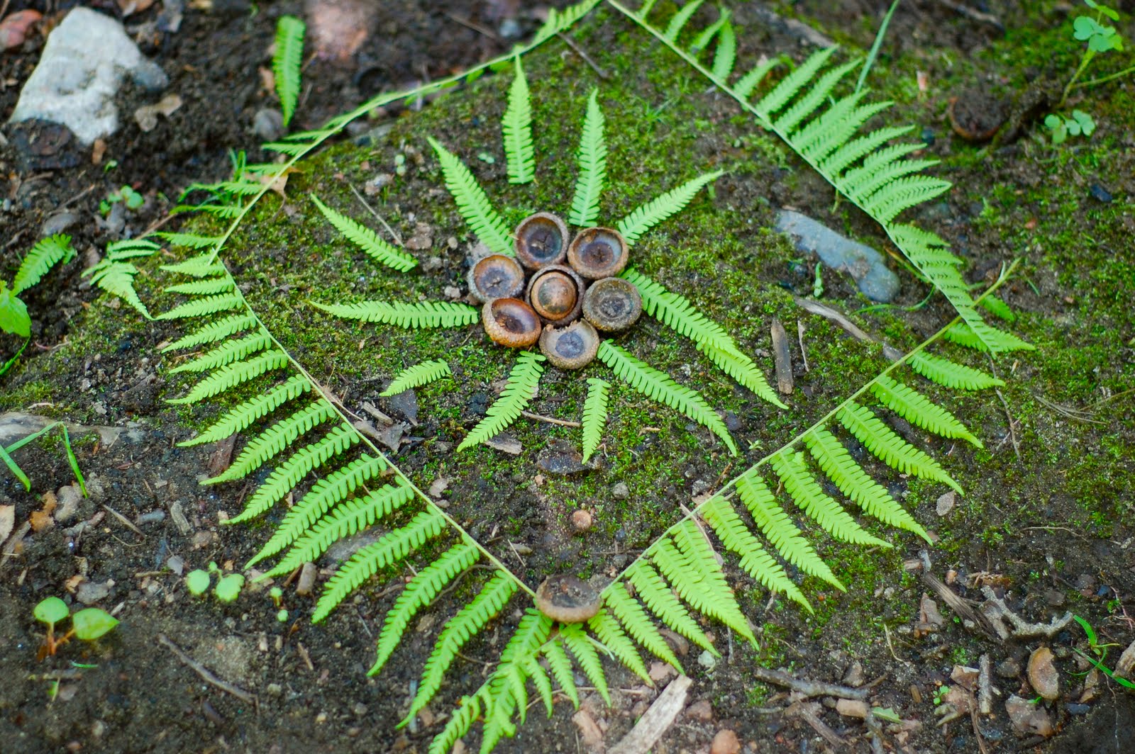 sea kettle diaries Andy Goldsworthy Nature Sculptures