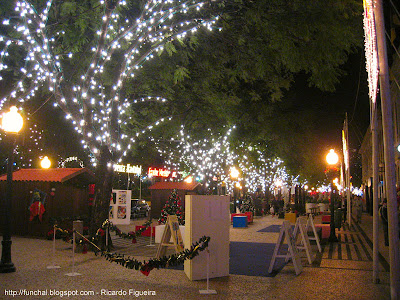 iluminações de natal - avenida arriaga em frente ao teatro
