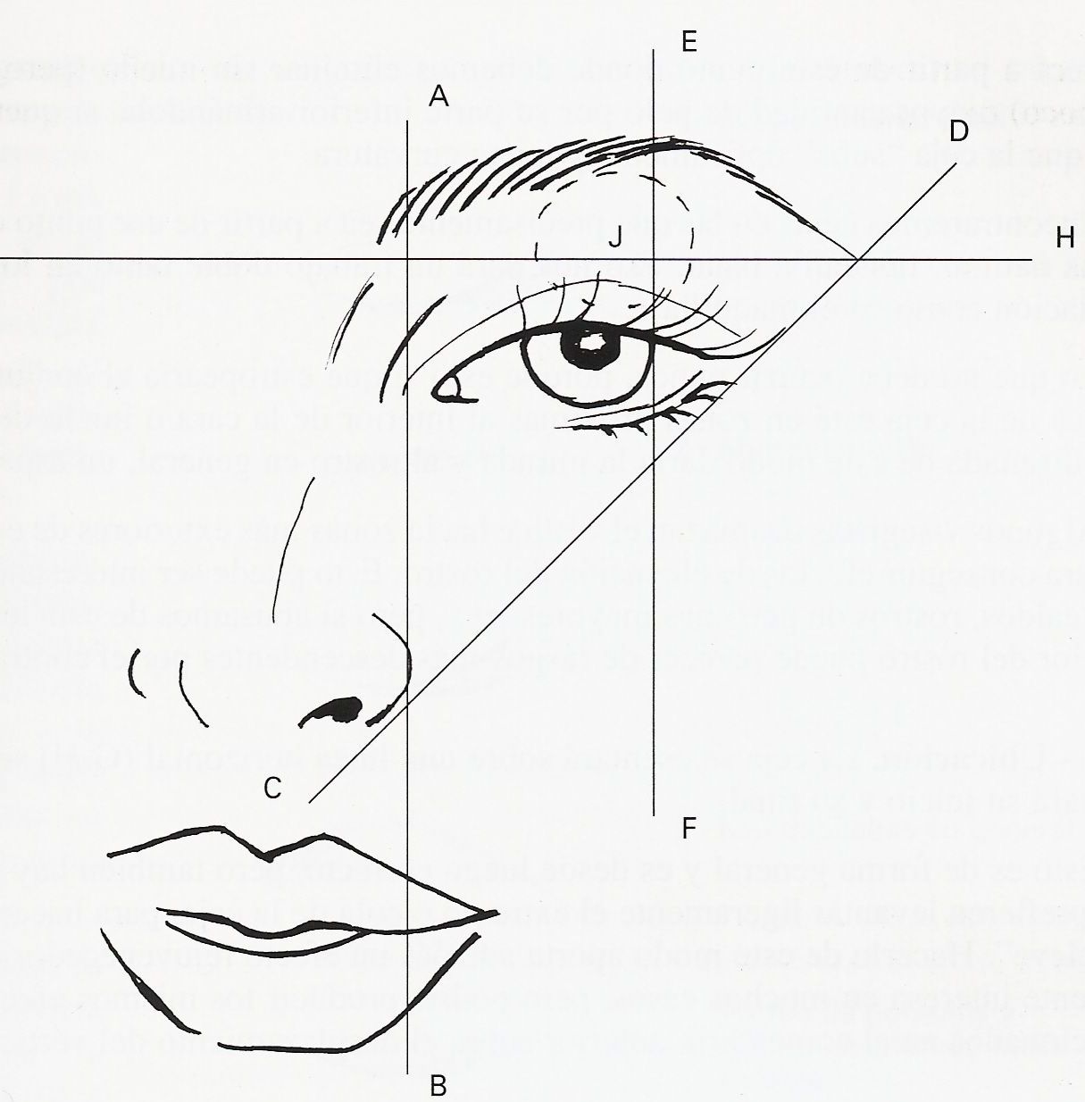 GUIA DE ESTILO: ¿En qué consiste la prueba de visagismo?
