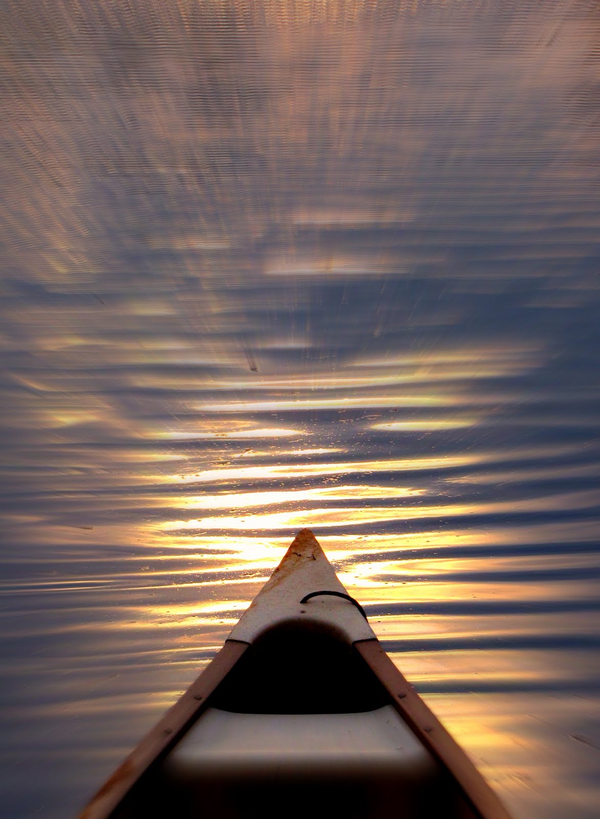 [3796658021_963b381d7d_o.jpg]