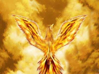 el_ave_fenix.jpg