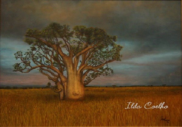 [Ilda+Coelho+-+Imbondeiro+3.jpg]