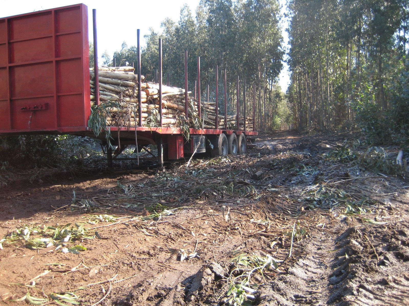 [zz+IMG_0002+(43).JPG]