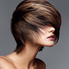 Professional Hair Color on Professional Hair Color  Professional Hair Color   Our Secrets