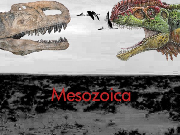 Mesozoica