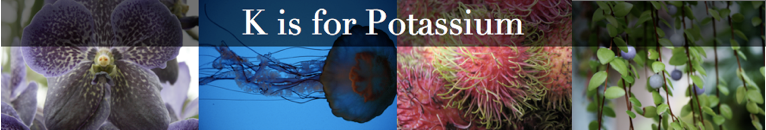 K is for Potassium