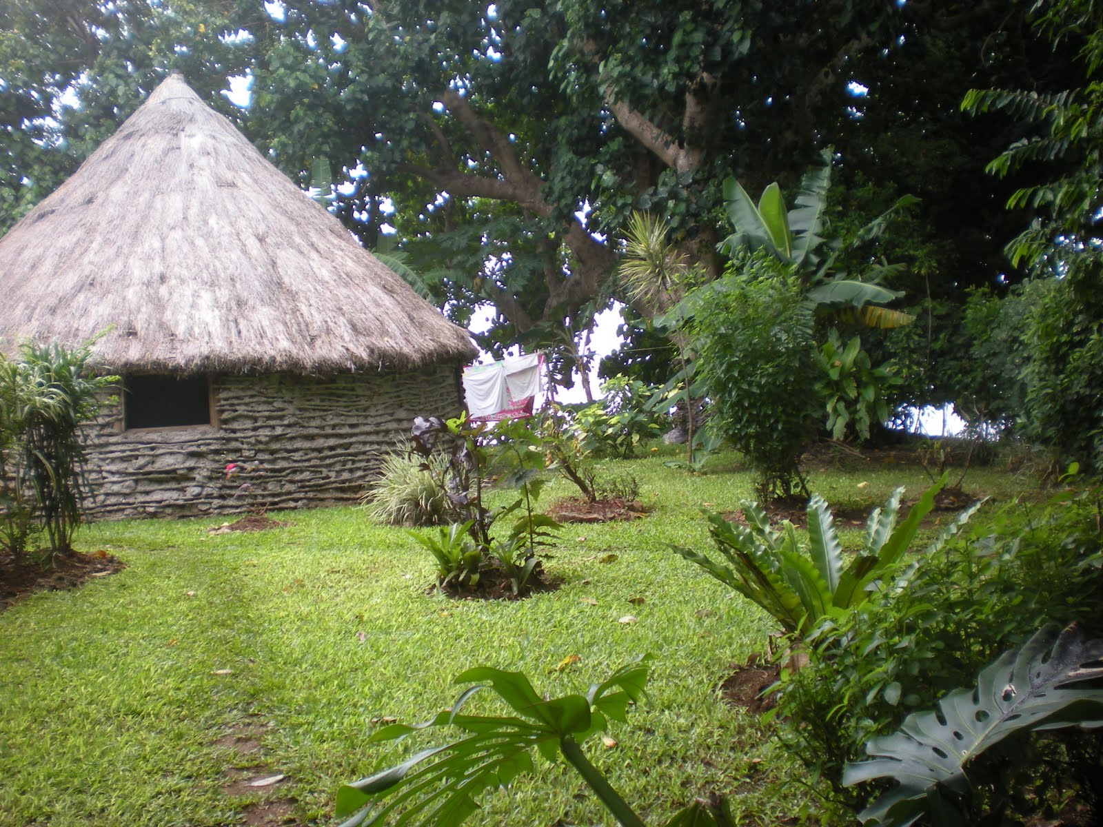Plus loin, tu peux ? En route pour Belep